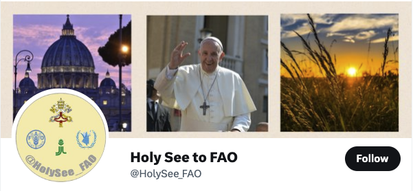 fao-twitter.png